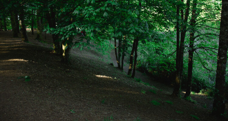 Valdivia: confirman que en el Parque Santa Inés se encontraron restos arqueológicos