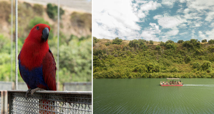 Parque Tricao: así es el destino natural de Chile elegido como uno de los más populares del mundo