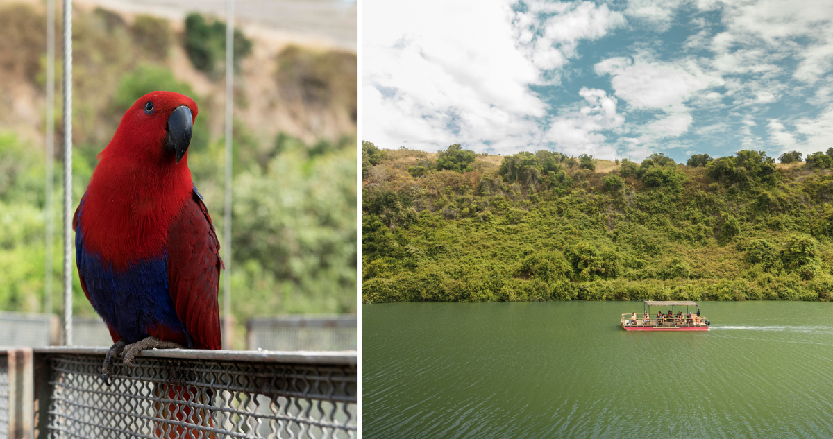 Parque Tricao: así es el destino natural de Chile elegido como uno de los más populares del mundo