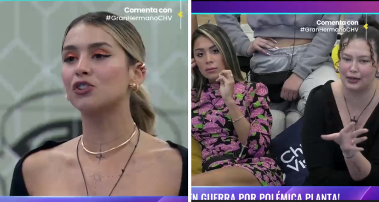 Carlyn Romero (izquierda) junto a Chama y Michelle Carvalho (derecha) en Gran Hermano por conflicto sobre planta