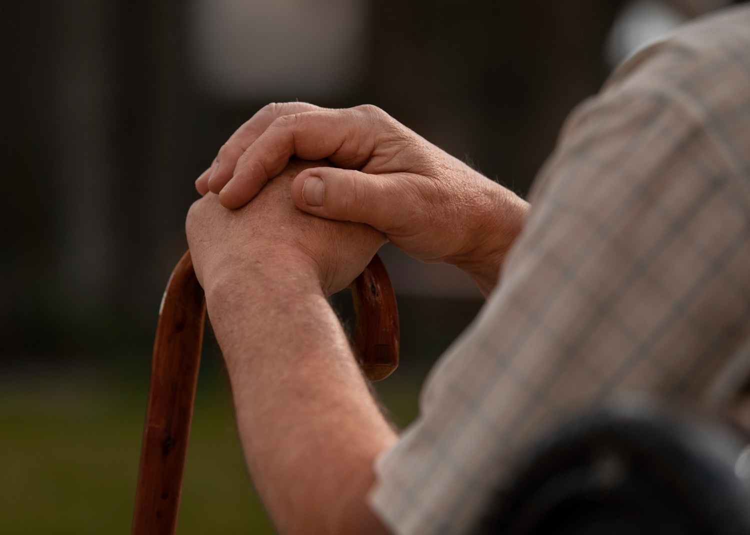 Pension alimentos abuelos