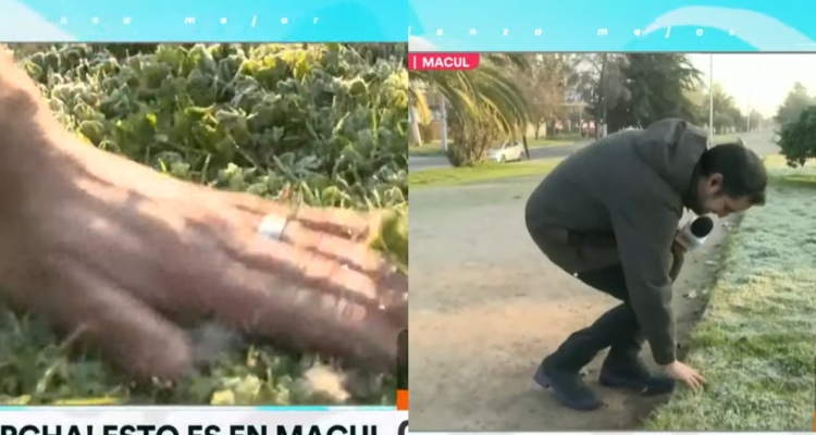 Periodista de Canal 13 buscando anillo de compromiso perdido en vivo