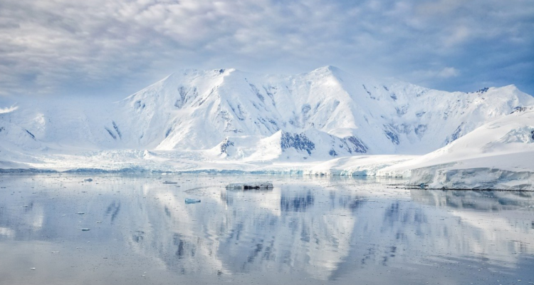 antartica chilena