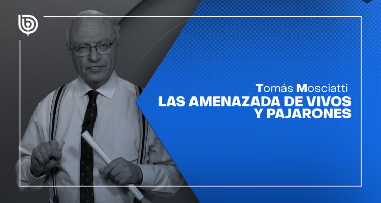 Las amenazada de vivos y pajarones