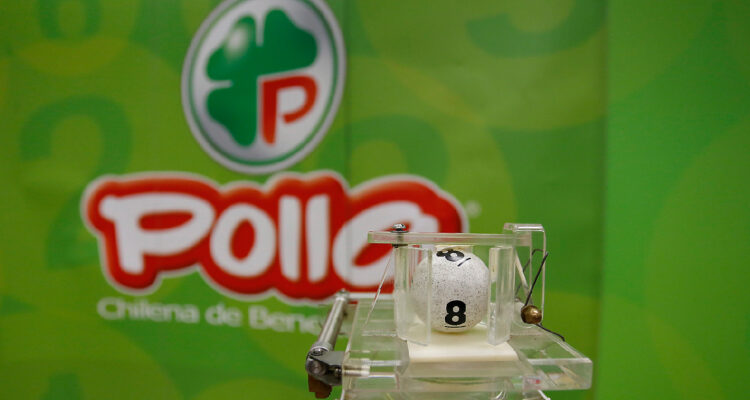 Archivo | Francisco Flores Seguel | Agencia UNO