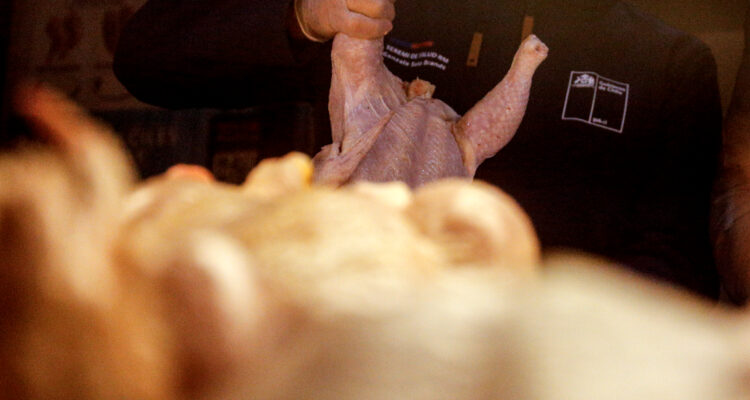 “Ricos Pollos” bañados en cloro: Sernac arremete contra supermercado del Maule y detalla inmundicias