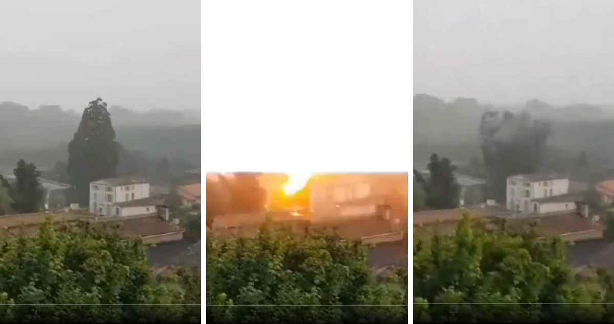Rayo cae sobre enorme árbol, emblema de un pueblo en Francia, y lo hace desaparecer en un segundo