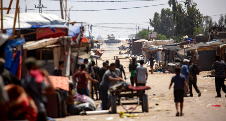 Revelan que piojos se multiplican entre refugiados en Franja de Gaza ante falta de champú