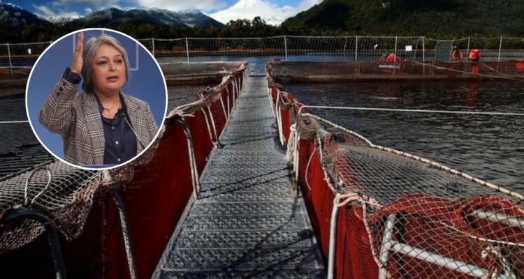SALMONCHILE POR DICHOS DE MINISTRA JARA SOBRE MALAS PRÁCTICAS EN EL RUBRO