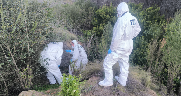 Encuentran restos óseos