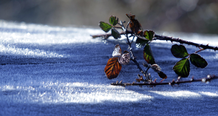 Jornada más fría de la semana sería este miércoles en Valparaíso