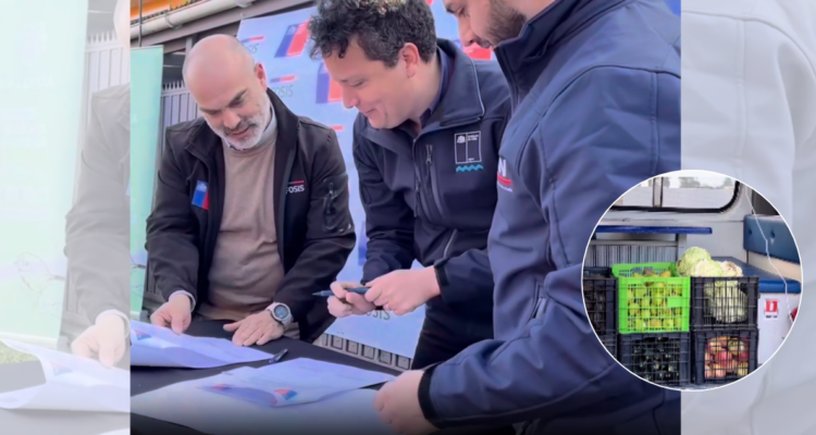 Eco Mercado Solidario de Valdivia