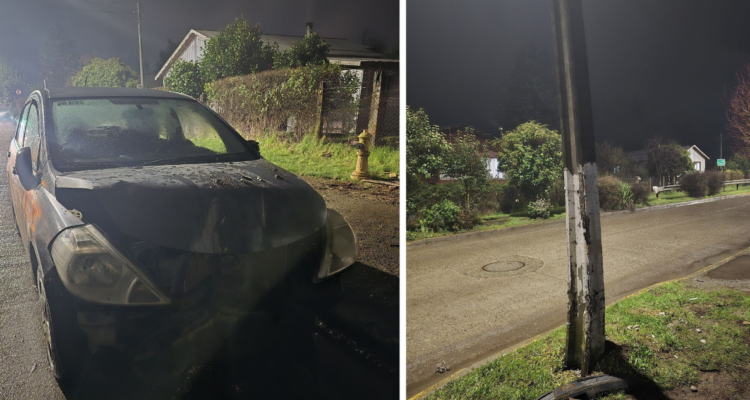 Detienen a hombre prófugo en Los Lagos