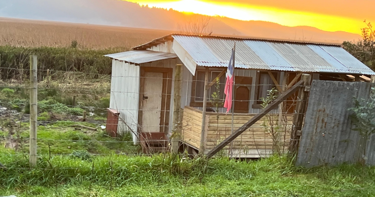 Comienzan gestiones para recuperar terreno tomado al borde de humedales en Valdivia