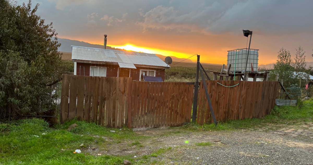 Comienzan gestiones para recuperar terreno tomado al borde de humedales en Valdivia