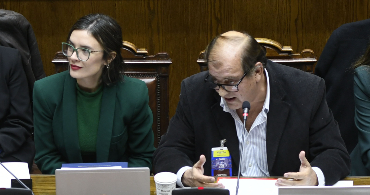 Vidal fue al Congreso a defender proyecto para TVN y arremetió contra los canales de Luksic y Heller