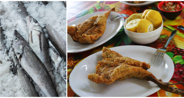 Para que no se agote: La merluza entra en veda y detallan periodo en que regirá la medida