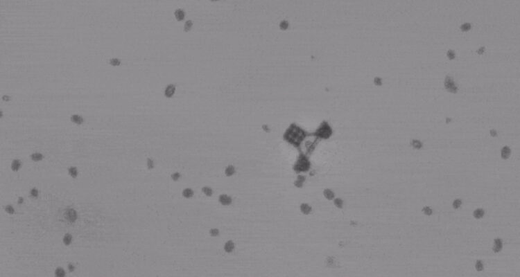 Prueba de los vehículos microscópicos