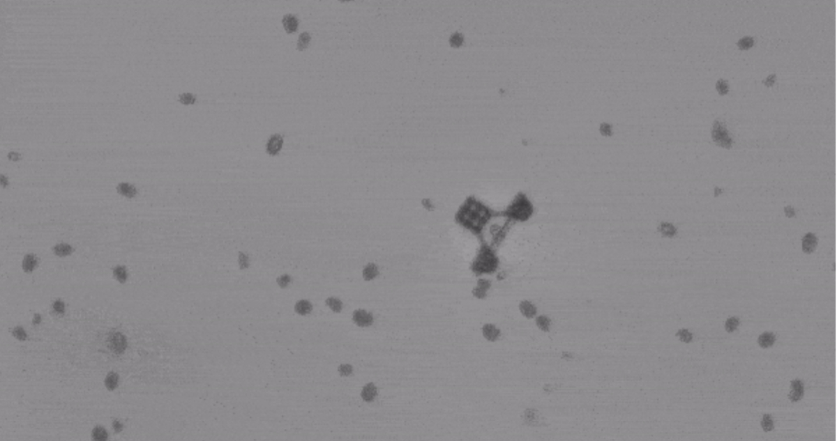 Prueba de los vehículos microscópicos