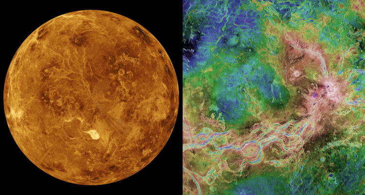 Detectan gases en Venus que indicarían la presencia de vida extraterrestre: “Es motivo de optimismo”