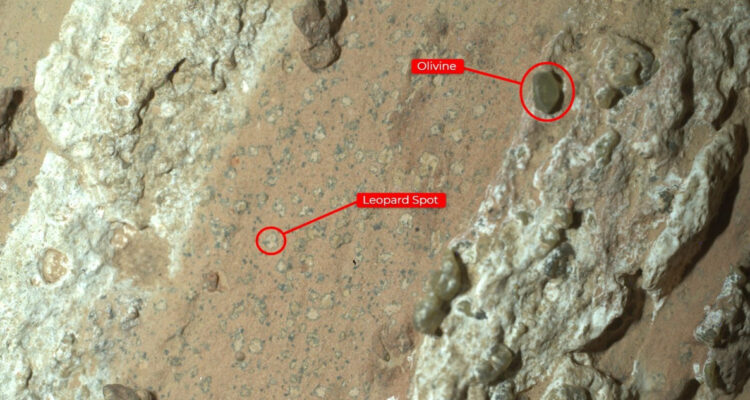 Imagen de la roca donde la NASA encontró posibles restos de vida microbiana en Marte