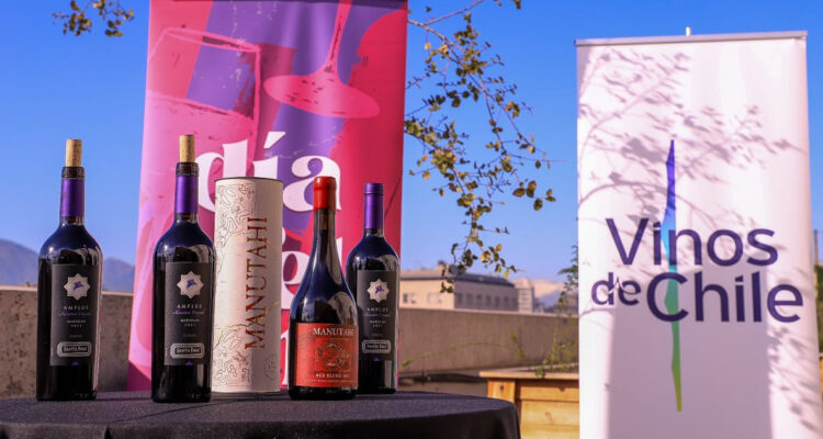 Se suman al Merlot, Cabernet y otros: Gobierno oficializa nuevas variedades para el vino chileno