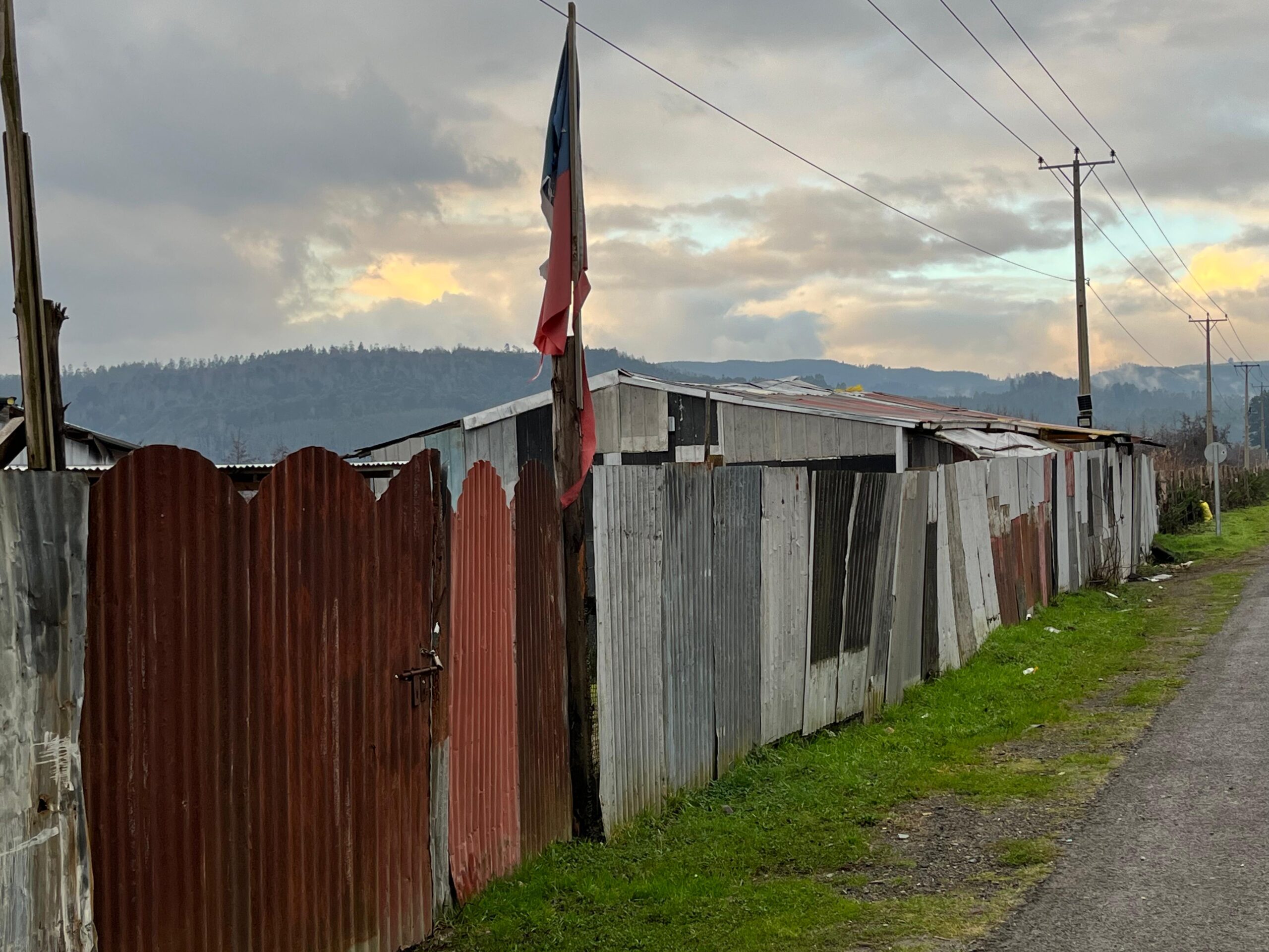 Comienzan gestiones para recuperar terreno tomado al borde de humedales en Valdivia