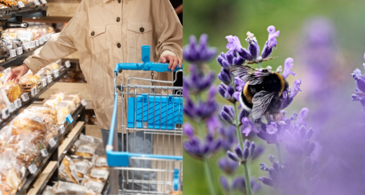 importancia de las abejas en la industria alimenticia