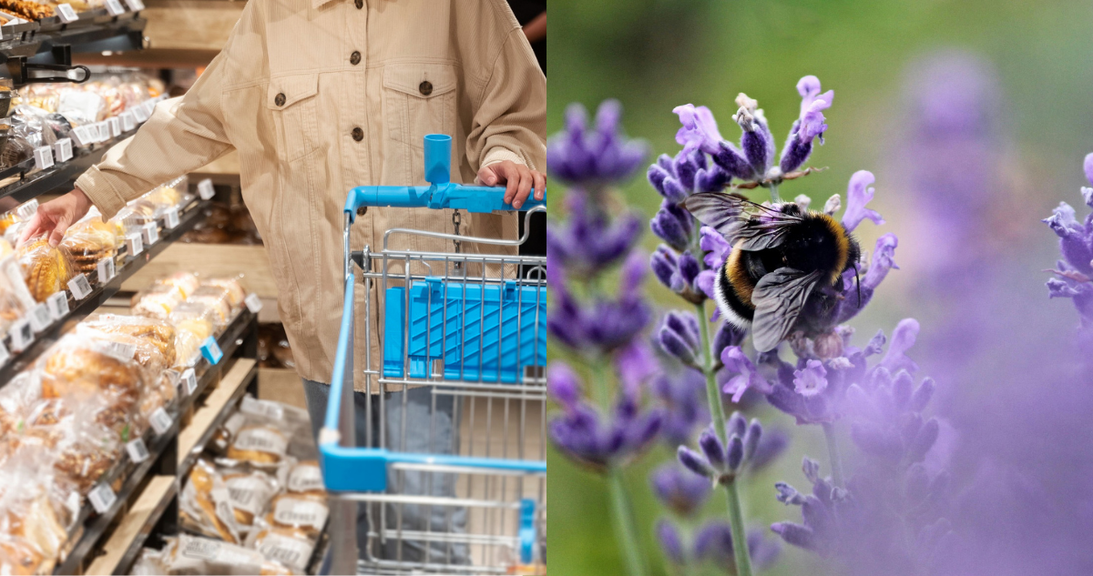 importancia de las abejas en la industria alimenticia