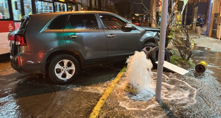 Accidente de tránsito termina con un grifo y un árbol derribado en Santiago