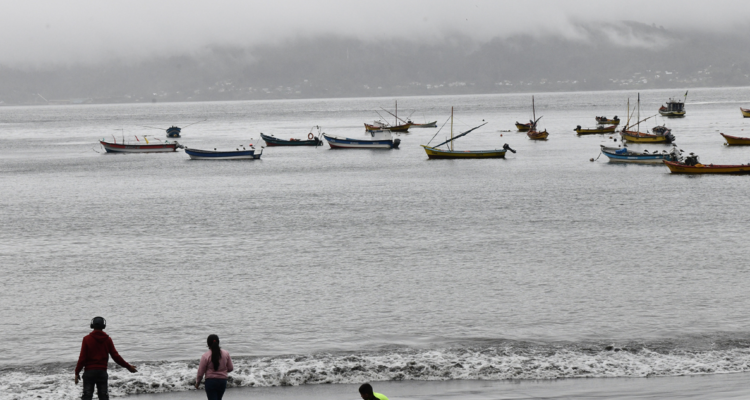 Costa de Valdivia por presunto daño ambiental de inmobiliarias