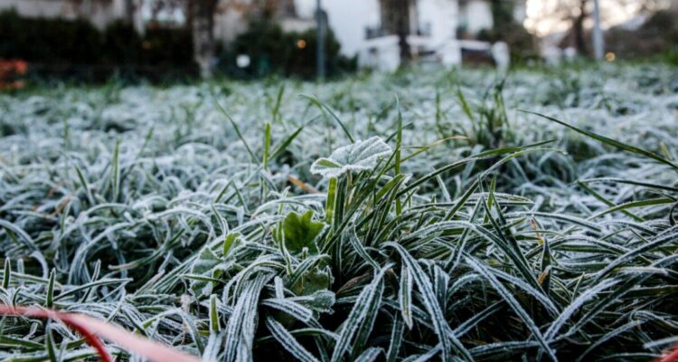 Senapred emite Alerta Temprana Preventiva por heladas en Los Lagos: revisa las recomendaciones