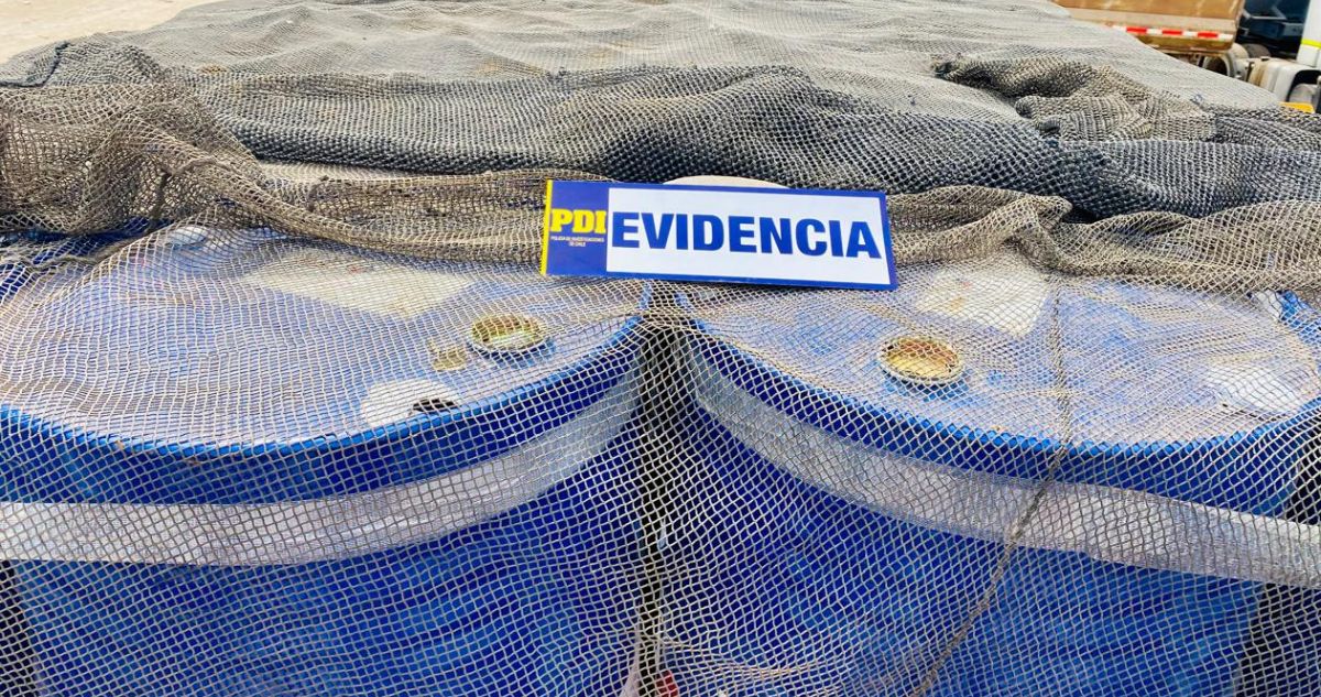 PDI Arica