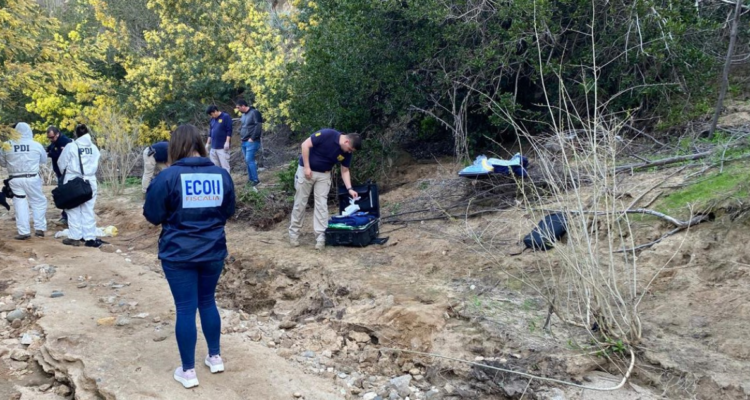 Confirman que cuerpo hallado en Quilpué corresponde a adulto mayor: lo habrían atacado animales