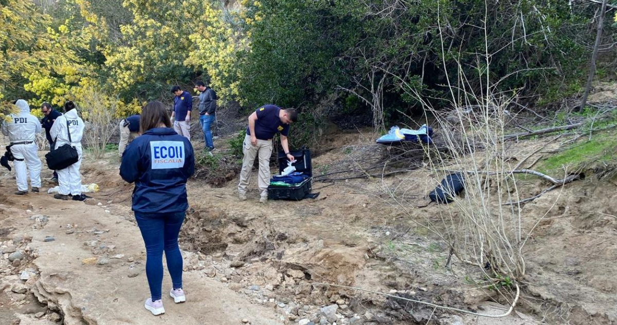 Confirman que cuerpo hallado en Quilpué corresponde a adulto mayor: lo habrían atacado animales