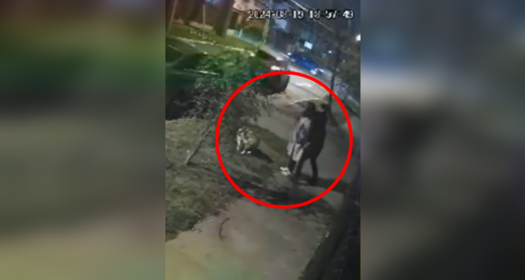 Mujer sufe violento asalto mientras paseaba a su perro en Ñuñoa