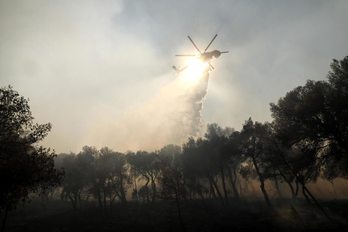 Más de 50.000 evacuados y 10.000 hectáreas arrasadas por mega incendio forestal en Grecia