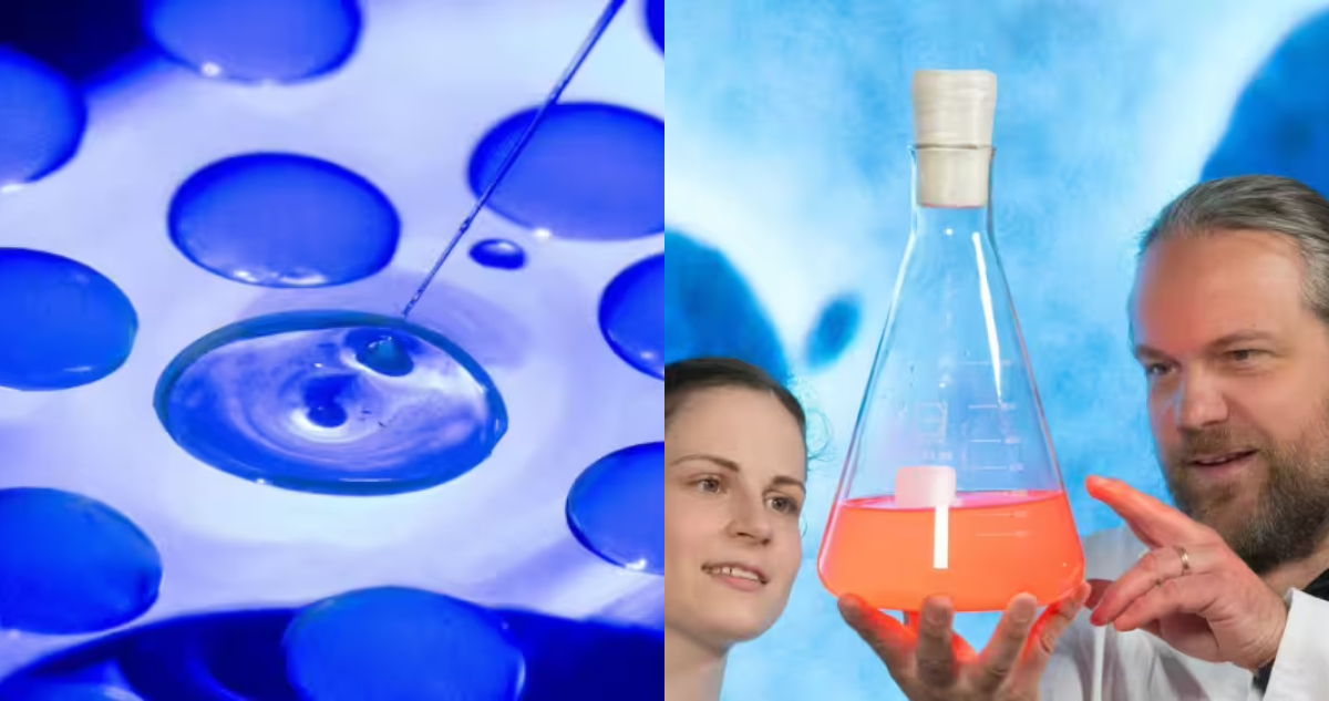 Descubren un organismo unicelular “imposible” para la biología: “Nadie había observado nada parecido”