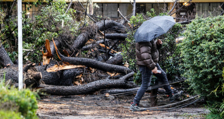 Balance del temporal en la RM: viento derribó más de 1800 árboles y mantiene sin luz a 650 mil hogares
