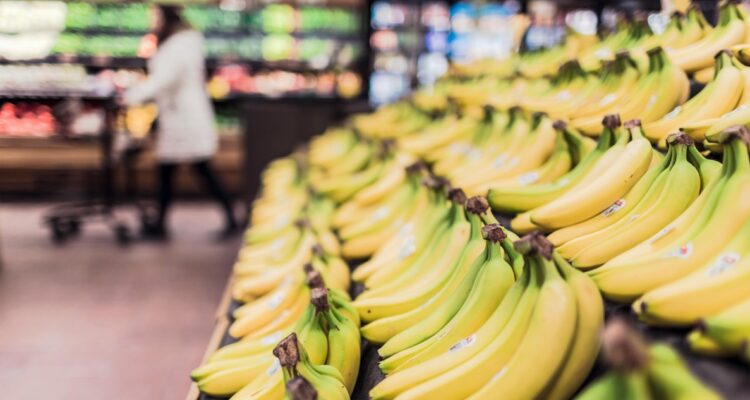 Un hongo amenaza la existencia de plátanos y bananas, conocido coloquialmente como “bananapocalipsis”, al matar las plantaciones.