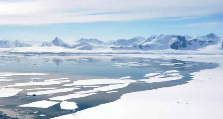 biólogo es acusado de violacion en la antártica chilena