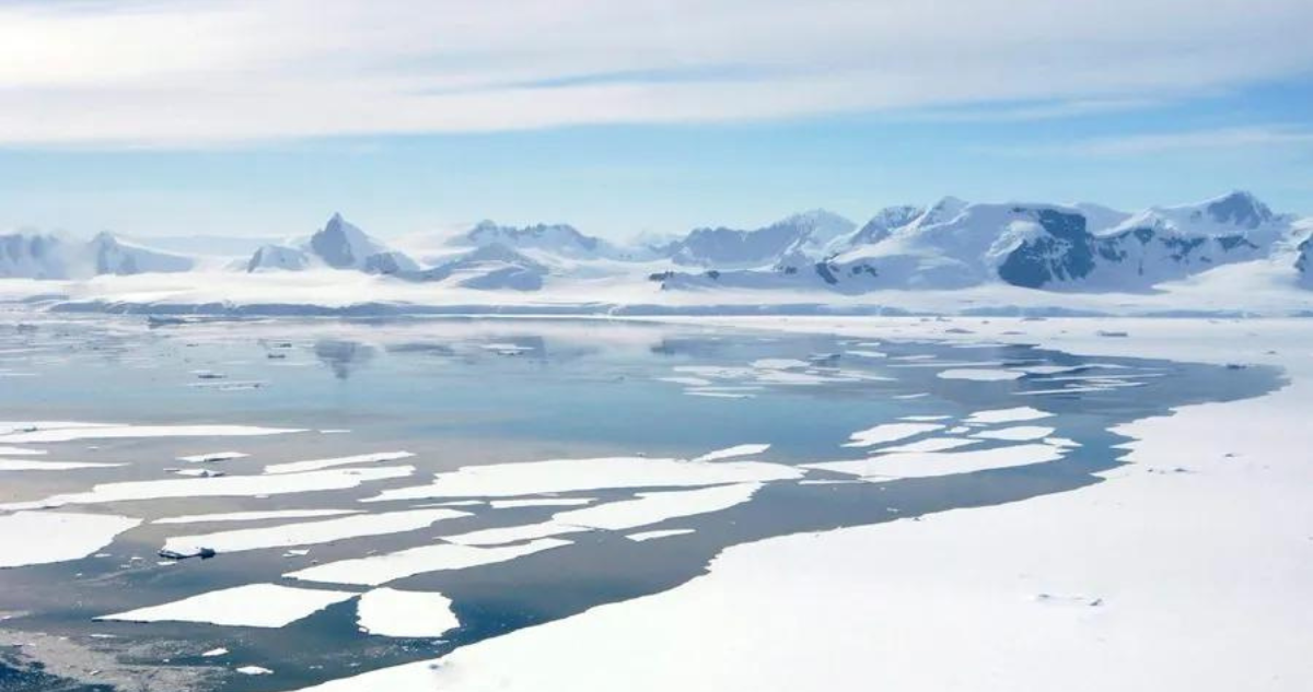 biólogo es acusado de violacion en la antártica chilena