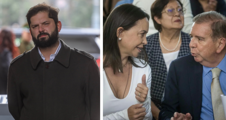 boric investigacion contra machado y gonzalez