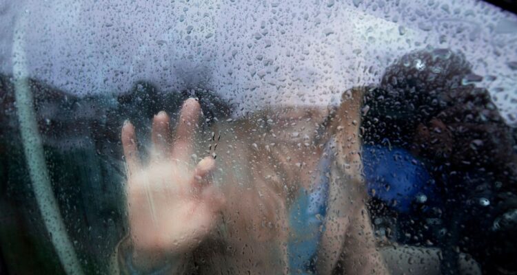 Cómo calefaccionar y desempañar correctamente tu automóvil sin morir en el intento, consejos para ahorrar combustible y cuidar el motor.