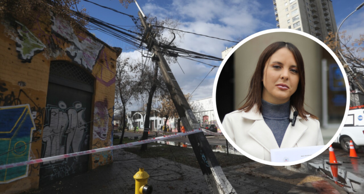 Imagen de contexto con un poste de luz cortado, tras el paso del sistema frontal, junto a la diputada Camila Musante. La parlamentaria anunció una demanda colectiva contra CGE por los masivos cortes de luz tras el paso del sistema frontal.