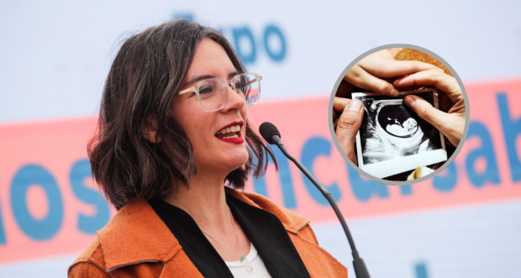 Ministra Camila Vallejo confirma que está embarazada: “Han sido 3 meses intensos”