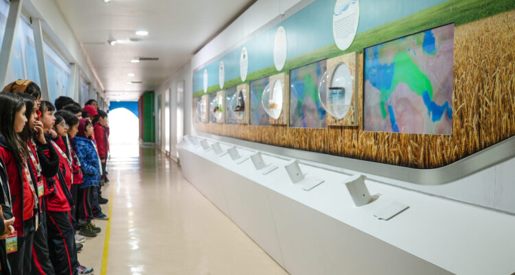 Puedes ver cómo elaboran galletas, pastas y cereales: Carozzi celebra 200 mil visitas a sus fábricas