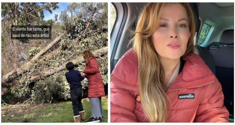 Fuertes vientos derribaron un árbol en el patio de la exalcaldesa de Maipú, Cathy Barriga, quien actualmente cumple arresto domiciliario