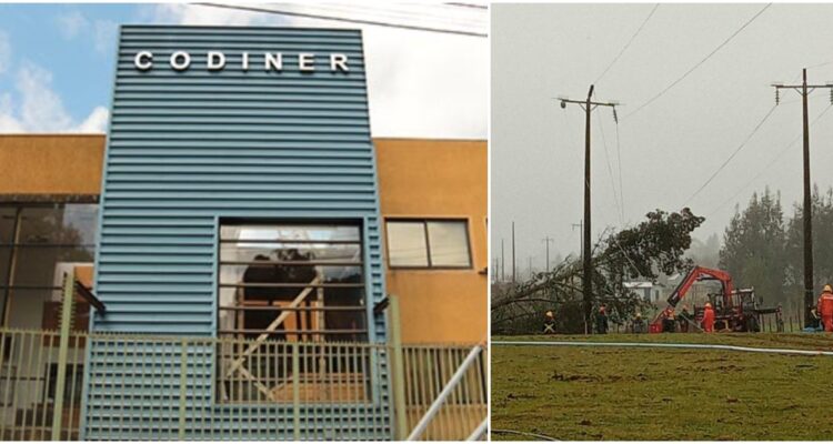 Codiner anuncia acciones legales contra forestales y municipios por caída de árboles y efectos en corte de luz