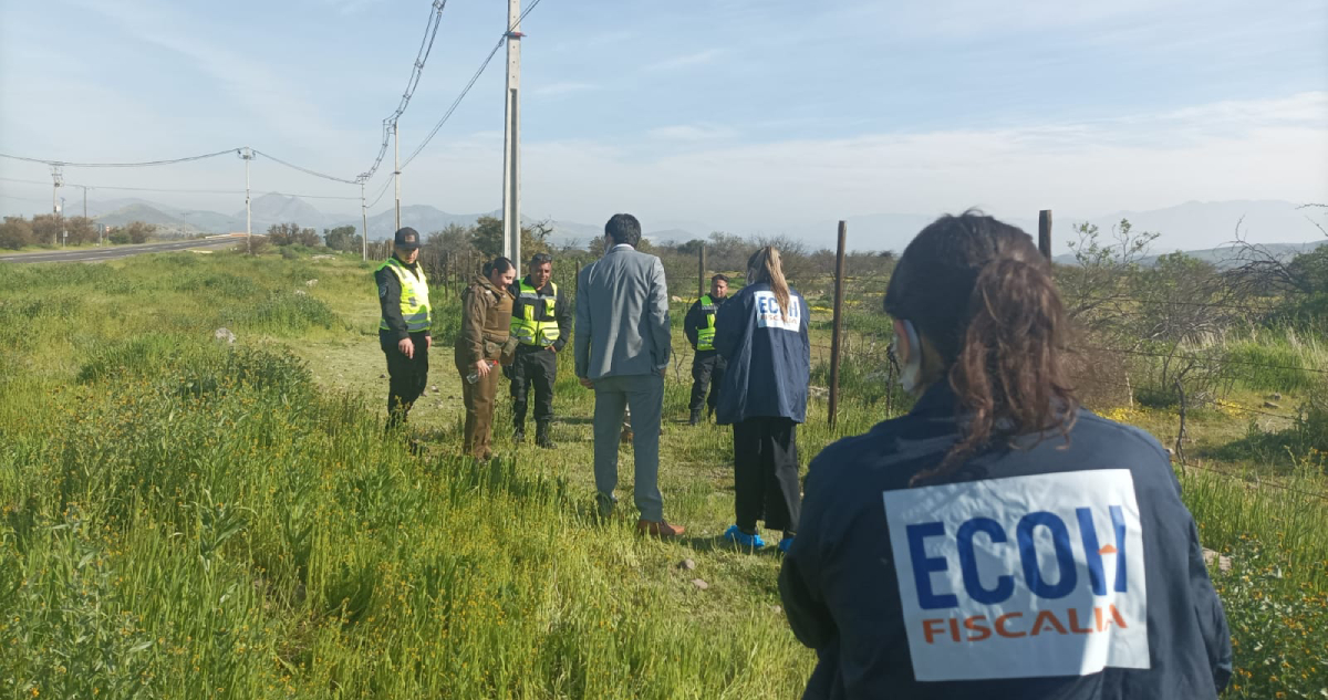 Investigan hallazgo de cráneo humano en pastizal de Colina